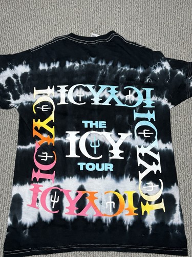 Twenty one pilots 2022 icy - pilots,